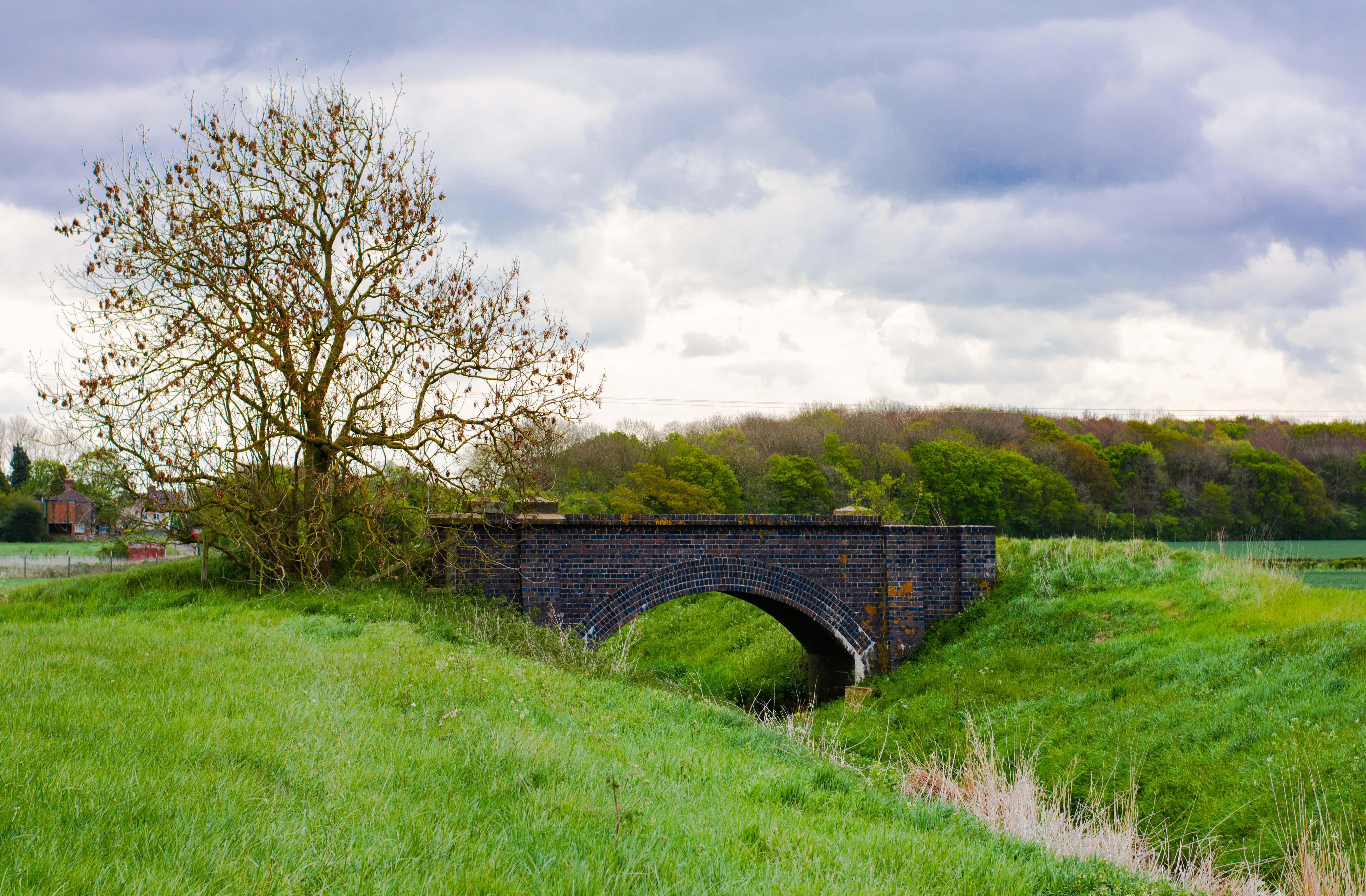 Bridge