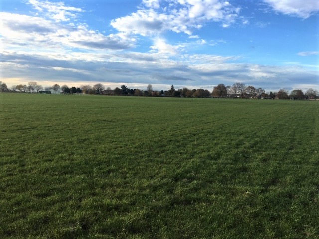 St Oswald's Park